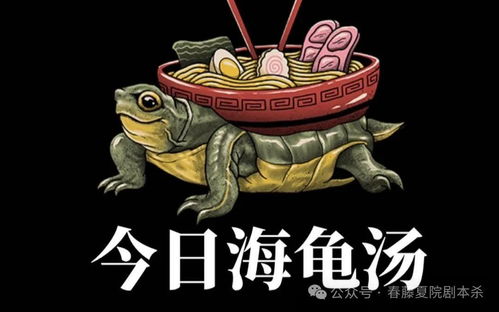海龟汤喝汤助手 