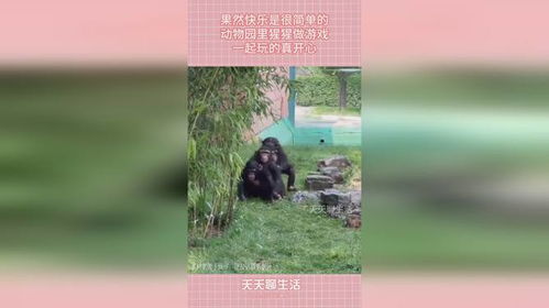 我要做游戏  我要做游戏