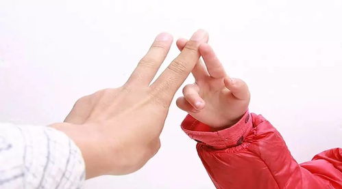 金手指游戏修改器 金手指游戏修改器