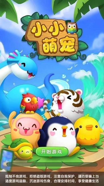 小小萌宠  小小萌宠