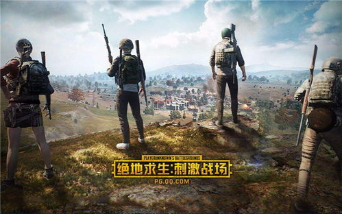 和平精英游戏下载安装正版官方版  和平精英游戏下载安装正版官方版