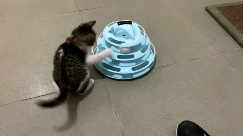 就喜欢你不喜欢我  就喜欢你不喜欢我