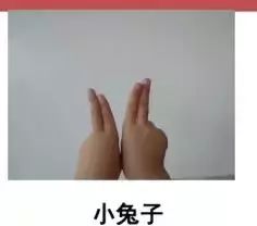 金手指游戏修改器  金手指游戏修改器