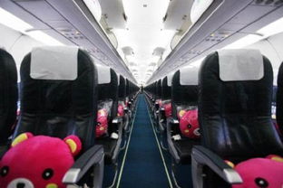 趣味猫主题游乐园手游中文版下载 